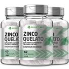3Un Zinco Quelato Forma Pura Concentrada 400mg 180Cáps 3 Meses Ecomev