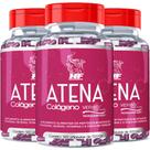 3x Atena Colageno Verisol Anticelulite Hf Suplements 500mg 120caps 3x Atena Colageno Verisol Anticelulite Hf Suplements 500mg 120caps