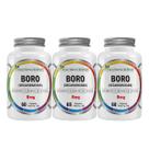 3x Boro Decahidratado 8mg 180 Caps - Flora Nativa do Brasil
