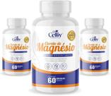 3x Cloreto de Magnésio 60 Cápsulas de 500mg Celliv