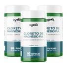 3x Cloreto De Magnésio P.a 140mg 60 Cápsulas Ayeko 3x Cloreto De Magnésio P.a 140mg 60 Cápsulas Ayeko