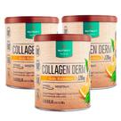 3x Colágeno Ácido Hialurônico Collagen Derm Laranja 330g - Nutrify