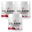 3X Colágeno Hidrolisado 300g Sabor Frutas Vermelhas Tuttiflora 3X Colágeno Hidrolisado 300g Sabor Frutas Vermelhas Tuttiflora