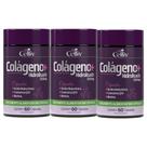 3x Colágeno Hidrolisado + Ácido Hialurônico + Coenzima Q10 + Biotina e Vitams 60 Caps Celliv
