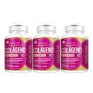 3x Colágeno Hidrolisado Vitamina A C D3 E 60 Caps Flora Nativa do Brasil 3x Colágeno Hidrolisado Vitamina A C D3 E 60 Caps Flora Nativa do Brasil