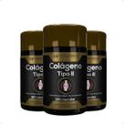 3x colágeno tipo ii 120 cápsulas hf suplementos 3x colágeno tipo ii 120 cápsulas hf suplementos