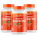3x Colágeno Tipo II Regener Flex Bigens 60 Capsulas 3x Colágeno Tipo II Regener Flex Bigens 60 Capsulas
