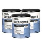 3x Creatina Creapower Creapure Plant Power 300g