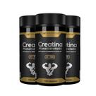 3x creatina monohidrata 3g pure 120caps 1550mg hf suplements