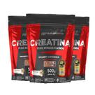 3x CREATINA MONOHIDRATADA 100% PURA 500G HF SUPLEMENTOS 3x CREATINA MONOHIDRATADA 100% PURA 500G HF SUPLEMENTOS
