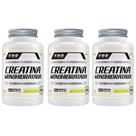 3x Creatina Monohidratada 100% Pura Com 120 Capsulas de 500mg FNB Sport Nutrition