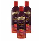 3x Creme de Vinagre Balsâmico com Framboesa - Castelo - 270g