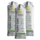3x Eletrólitos Hydro Salts Alquimia da Saúde Limão 10un 60g