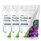 3X Fertilizante Mineral Fosfato de Rocha (1Kg) MAXGREEN