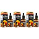 3x Gotas Africanas Com Arginina Taurina Boro Zinco Em Gotas Rápida Absorção 30ml - Melfort