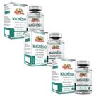 3x Magnesio 4 em 1 Cloreto de Magnesio - Magnesio Quelato - Malato - Vitamina D3 90cps 750mg