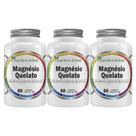3x Magnésio Quelato Puro Concentrado 60 Cápsulas 500mg Flora Nativa do Brasil