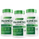 3x Magnesio Treonato 500Mg Máxima Concentração 180Cáps - (3 Meses de Uso) Ecomev