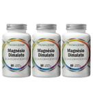 3x Malato de Magnesio 60 Cápsulas 500mg - Flora Nativa do Brasil 3x Malato de Magnesio 60 Cápsulas 500mg - Flora Nativa do Brasil