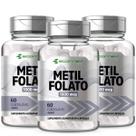 3x Metilfolato L Metil 1000Mcg Acido Folico Ativo 180 Cápsulas Ecomev