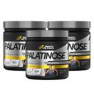 3x Palatinose 100% Pura Body Action 300g - 3x Palatinose 100% Pura Body Action 300g -