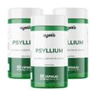 3X Psyllium 60 Cápsulas 500mg Fonte De Fibras Ayeko