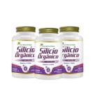 3x Silício Orgânico E Vitaminas 60 Cápsulas Flora Nativa