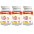 3x Suplemento Levedo de Cerveja 400 comprimidos Apisnutri