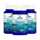 3x Suplemento Picolinato de Cromo 60 Caps 500mg
