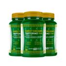3x TRIPTOFANO SWEET DREAMS 650MG HF SUPLEMENTS 60CAPS 3x TRIPTOFANO SWEET DREAMS 650MG HF SUPLEMENTS 60CAPS