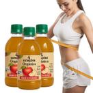 3X Vinagre de Maçã Orgânico 4,2 acidez 450ml 4 Estações
