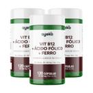 3x Vitamina B12 + Ácido Fólico + Ferro 120 Cápsulas - Ayeko 3x Vitamina B12 + Ácido Fólico + Ferro 120 Cápsulas - Ayeko