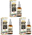 3x Vitamina B12 Sublingual (Metilcobalamina) 20Ml Gotas Flora Nativa