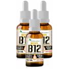 3x Vitamina B12 Sublingual Metilcobalamina 9,94 Mcg Fnb 20ml