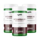 3X Vitamina K2 (MK-7) Menaquinona-7 149mcg 60 Cápsulas - Ayeko 3X Vitamina K2 (MK-7) Menaquinona-7 149mcg 60 Cápsulas - Ayeko