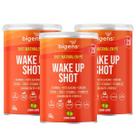 3x Wake Up Shot Matinal Bigens Limão 150g