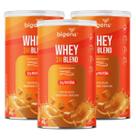 3x Whey Protein 3W Blend Clean Bigens Doce de Leite 450g -