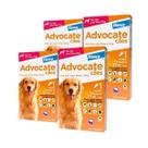 4 Advocate Anti Pulgas Cães De 10-25 Kg 1 Pipeta 2,5ml 4 Advocate Anti Pulgas Cães De 10-25 Kg 1 Pipeta 2,5ml