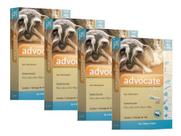 4 Advocate Anti Pulgas Cães De 4 A 10 Kg Bayer 1 Pipeta