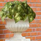 4 Buquês com Folhagens Realistas Artificiais Planta Moderna para Decoração de Comércios e Casas - DE0725