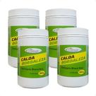 4 Calda Bordaleza Quimiagri Fertilizante Mineral Misto 900 G