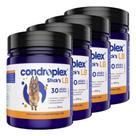 4 Condroplex Sticks Lb Suplemento Cachorro Cão Cães 120 Un