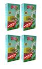 4 Erva Mate Chimarrão ELACY MENTA Gaúcho Vácuo 500g