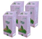 4 Erva Mate Chimarrão ORIGEM DO MATE ENDRO ERVA DOCE FUNCHO