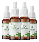 4 Frascos Gota Q10 Óleo Semente De Abacate 30ml