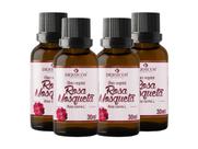 4 Oleo Vegetal Rosa Mosqueta 30ml