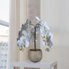 4 Orquídeas phalaenopsis Branca Artificial Verdes - Flor Decorativa para Ambientes Sofisticados - DE1324