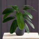 4 Plantas Artificiais Premium com 9 Folhas Realistas Mini Arbusto Para Decoração de Apartamentos - DE0124
