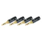 4 Plugs P2 Stereo Santo Angelo Estereo 4 Plugs P2 Stereo Santo Angelo Estereo