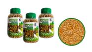 4 Potes com Gammarus Desidratado para Aves Peixes Répteis 20g Importado
